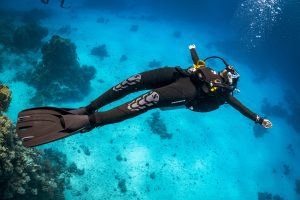 Mehr über den Artikel erfahren Wie werde ich Taucher?