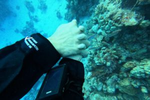 Mehr über den Artikel erfahren Nasse Ärmel im Trockentauchanzug