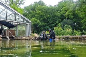 Mehr über den Artikel erfahren Tauchen – NaturaGart