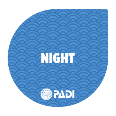 Night Specialty Instructor